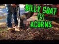 WHY BILLY GOAT SUCKS! Putting the BILLY GOAT LEAF LOADER  TO THE TEST - How I fixed my leaf loader.