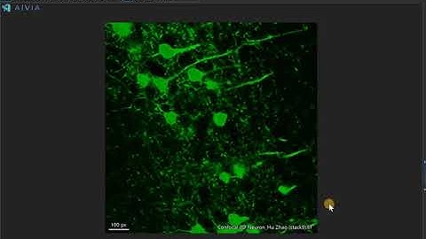 [Quick Tips] Create a max intensity projection