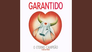 Video thumbnail of "Boi Bumbá Garantido - O Encanto da Ilha"