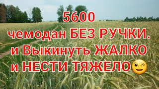 Закон 5600.Чемодан БЕЗ РУЧКИ.И Выкинуть ЖАЛКО и НЕСТИ ТЯЖЕЛО.