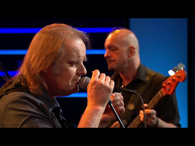 Walter Trout - Me My Guitar And The Blues