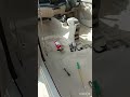 Maruti Ertiga Floor lamination || #marutisuzuki #marutiertiga #shorts