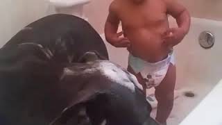 Funny baby having a bath with his big dog