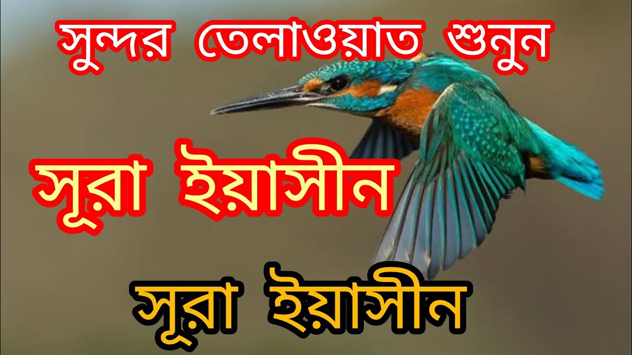 Lcpl Bellal R পৃথিবীর সবচেয়ে সুন্দর তেলাওয়াত।। সূরা ইয়াসীন..bellal - YouTube