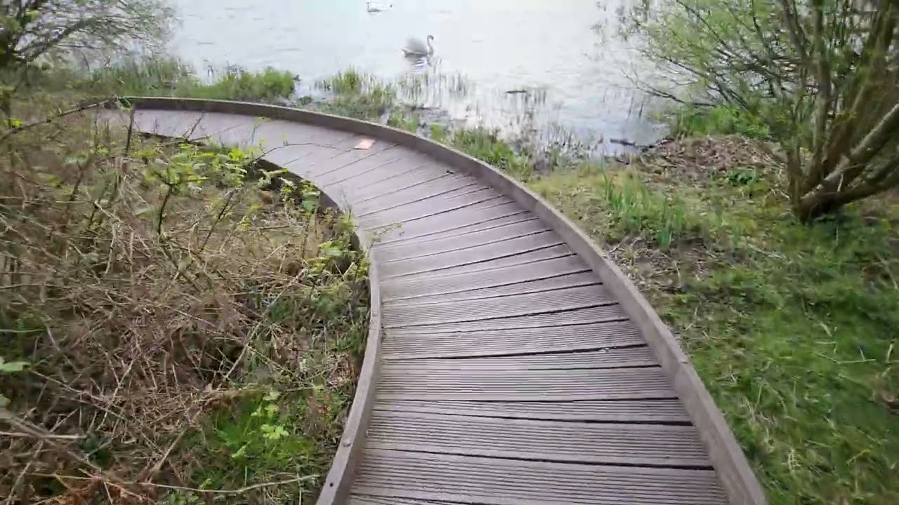 Drumpellier Country Park 🎶☯️🕯️