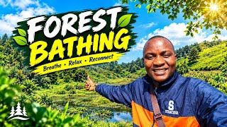 I STARTED FOREST BATHING & IT CHANGED MY LIFE