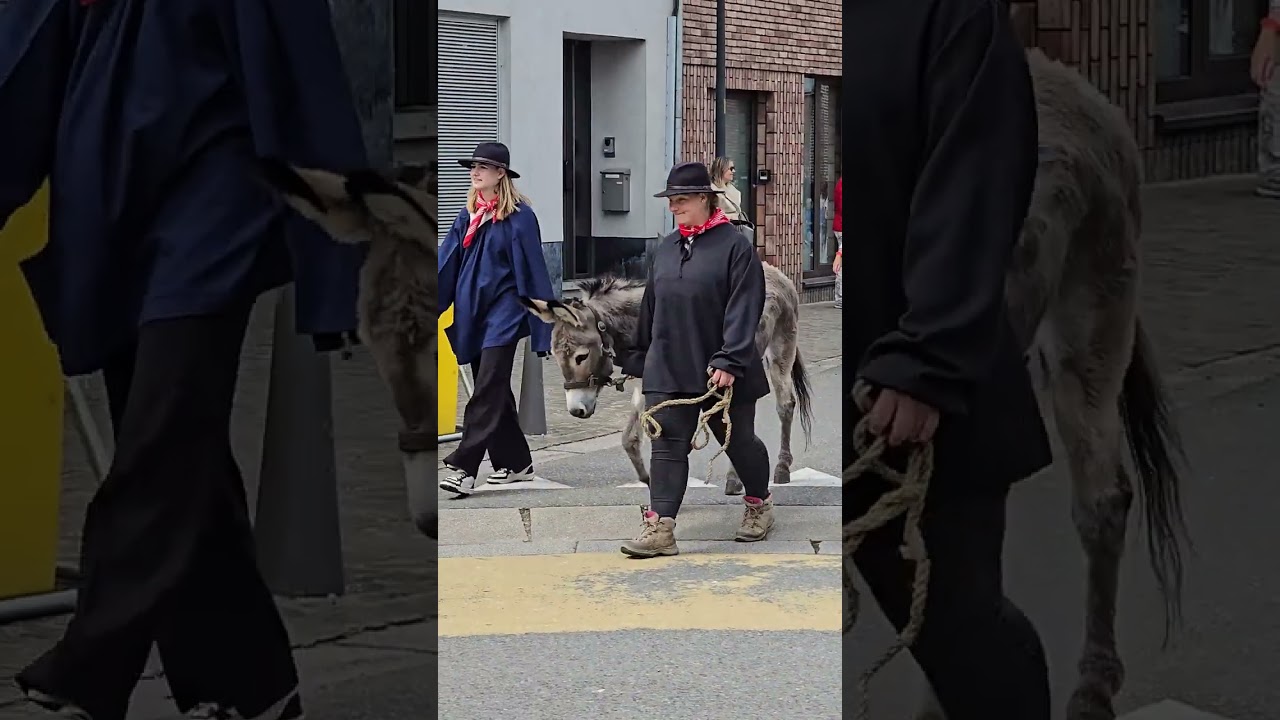 St Genoveva processie - Steenhuffel 06-06-2025