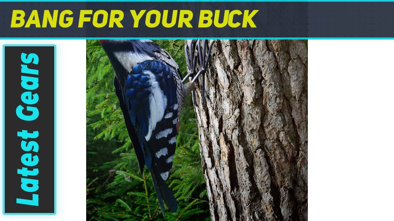 Woodpecker Bird Decor: Enhance Your Garden with the Best Outdoor Metal Art!