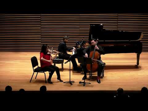 Trio in D Major, Op. 70, No. 1, "Ghost": III. Presto