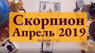 СКОРПИОН (карты) события АПРЕЛЯ 2019 Астролог Olga СКОРПИОН (карты) события АПРЕЛЯ 2019 Астролог Olga