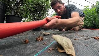 Public ASMR at a Nursery