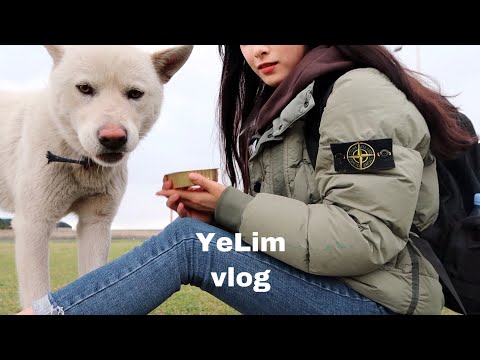 ENG) YeLim vlog <strong>올레</strong> 4코스, 걸어서 제주 (#올레길 #댕댕이 #혼밥일기 #찜닭)