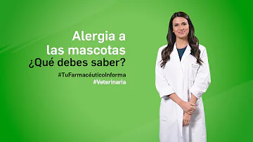 ¿Cuál es la alergia más frecuente a los perros?