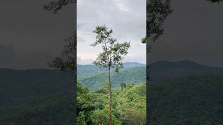 Vibras De La Naturaleza 🍃🌳⛰️💚 Resimi