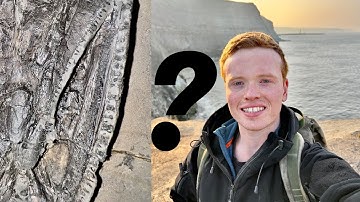 What is THIS Fossil?! Ep 3 | Fossil Hunter
