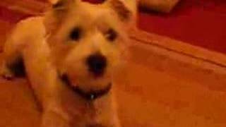 Caley - Match Of The Day