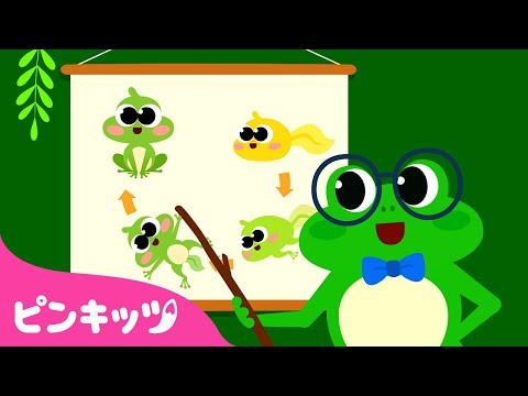 廃盤❤️「ケダモノ」ピン、「ポピー」ピン、「パピ」ピン、「カエル」ピンの 4 つ hqdefault.jpg