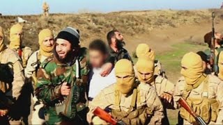 Jordanian pilot 'was not shot down by Islamic State'