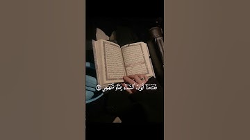 فدعا ربه أني مغلوب فانتصر"🌷#سورة_القمر#اجر_لي_ولكم #قرآن #راحة_نفسية #القران_الكريم#