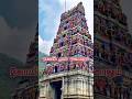 Kovil than ponalum punniyam seithalum song status,ayothi song status #shorts #shortsfeed #ayothi #ai