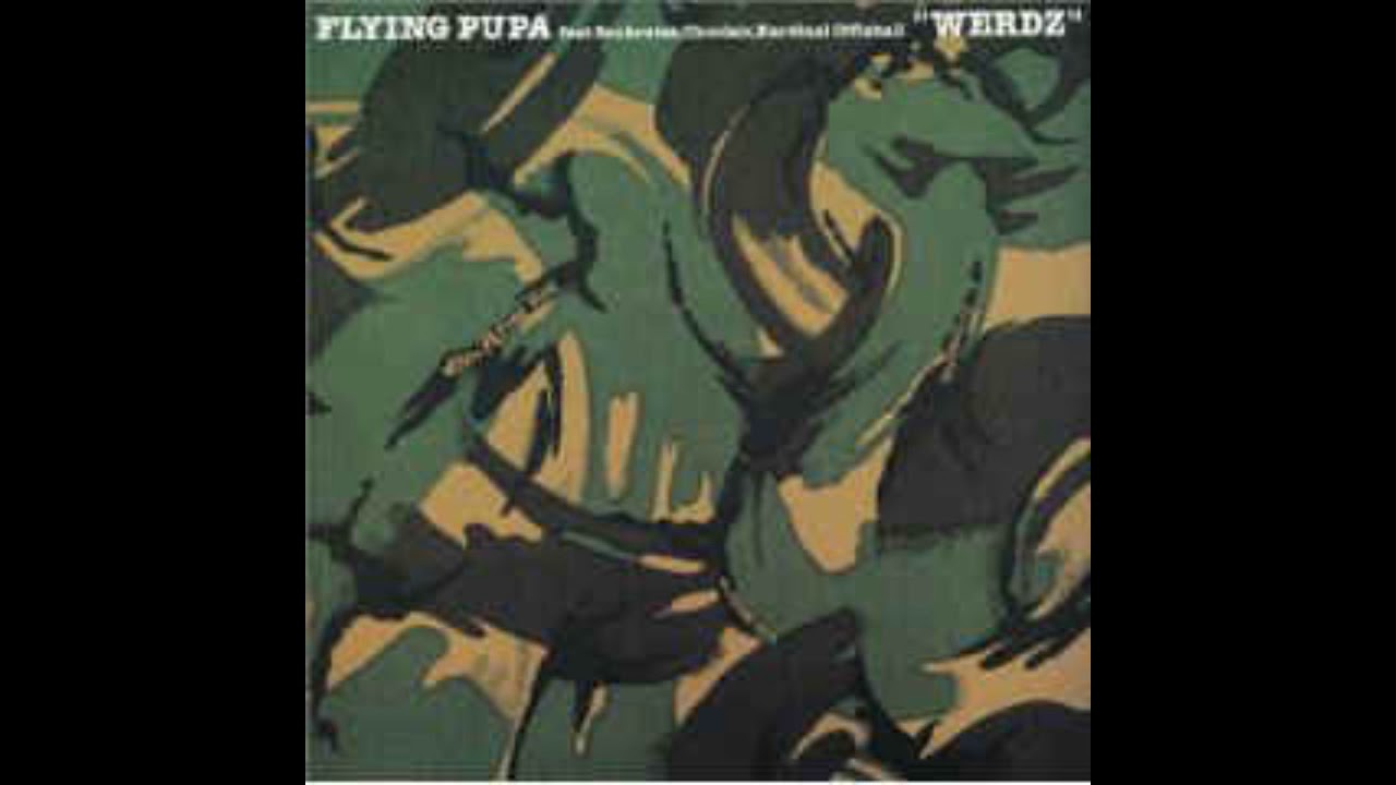 洋楽 FLYING PUPA Can It Flying Pupa - Can It - YouTube