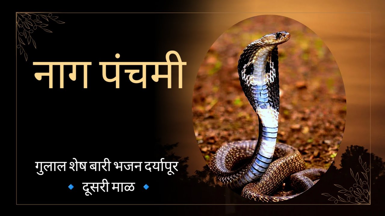 दुसऱ्या माळीला झालेले 3/4 गाण्याचे उत्कृष्ट संगम, गुलाल शेष बारी भजन दर्यापूर मो.नो. 8263975139