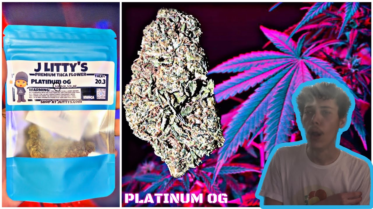 SAUCED OFF PLATINUM OG JLITTYS YouTube
