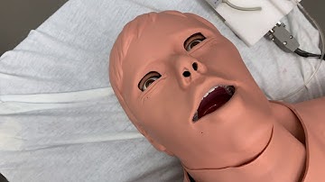 Simulation Introduction