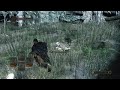 DARK SOULS™ II first run