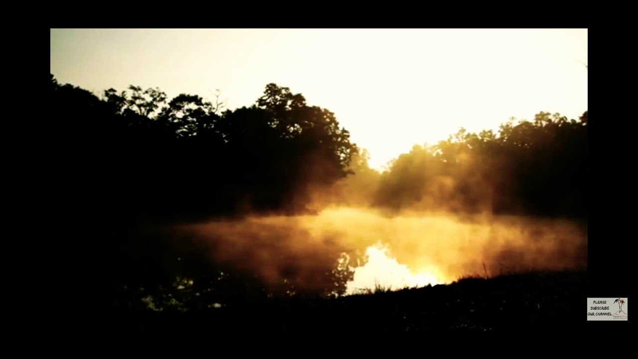 Bandra wildlife sanctuary in Karnataka|documentary by Karnataka forest department||