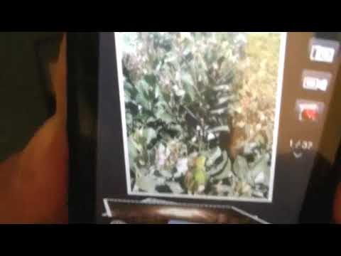 Droid Android 2.0 v. Windows Mobile HTC Imagio Pt. 1 of 3 | Pocketnow