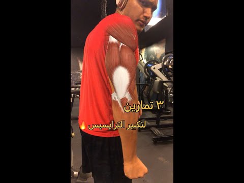 فيديو: ما هو كام تيراس؟