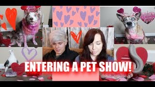 ENTERING OUR DOGS IN A PET SHOW! | w/ Tyler Rugge by Maddie Smith 8,262 views 5 years ago 10 minutes, 10 seconds