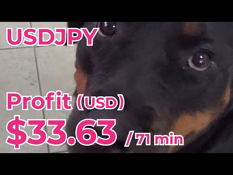 This is why giving some room for stop loss is important. 【USDJPY Tokyo Time Trade】