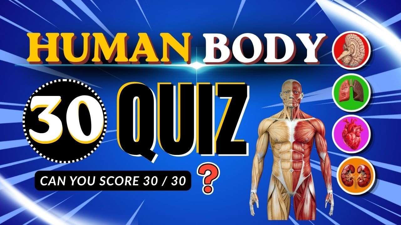 Can You Pass This Human Body Quiz? 🧠🫀 | 30/30 Challenge! 🏆 Quiz game ...