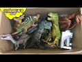 100 dinosaur toys in a box skyheart opens jurassic world dinosaurs for kids trex figures
