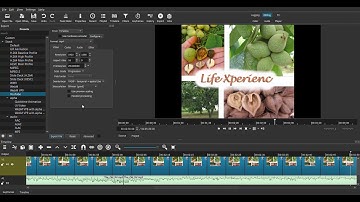 If Shotcut is Only Exporting audio files Watch this video before Wasting Hours!