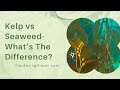 Kelp Versus Seaweed: Unraveling Their Roles in Marine Ecosystems and Gardening