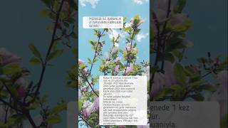 #ziraatmühendisliği #merkeziatama #tigem #çaykur #tmo #kpss2024 #keşfetbeniöneçıkar