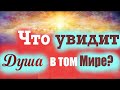 Что Душа увидит в том мире? Кого мы встретим на том свете? Что обещал Господь любящим Его? Св. Отцы