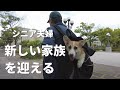 【再びペットを迎える】墓参り/おばあちゃんの通院/チリコンカン/シニアvlog172