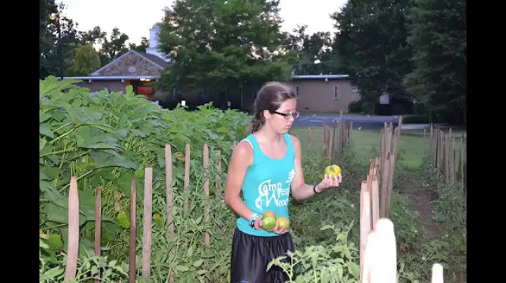 GSCSA 2014 Gold Award: Stephanie Doyal