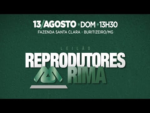 Lote 83 (Rima Jardine - RIMA A1131 / Rima FIV Laurino 1 - RIMA A1677)