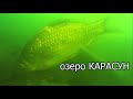 Рыбалка. Подводная съемка поклёвок в динамике. Краснодар, озеро Карасун. Fishing angeln la câu cá