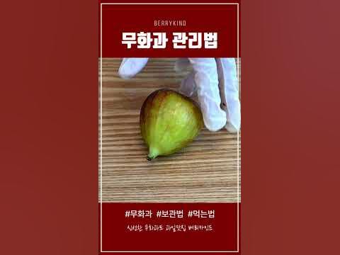 알아두면 다 쓸데 있는! 무화과 세척법 보관법 껍질까는법 #Shorts - Youtube