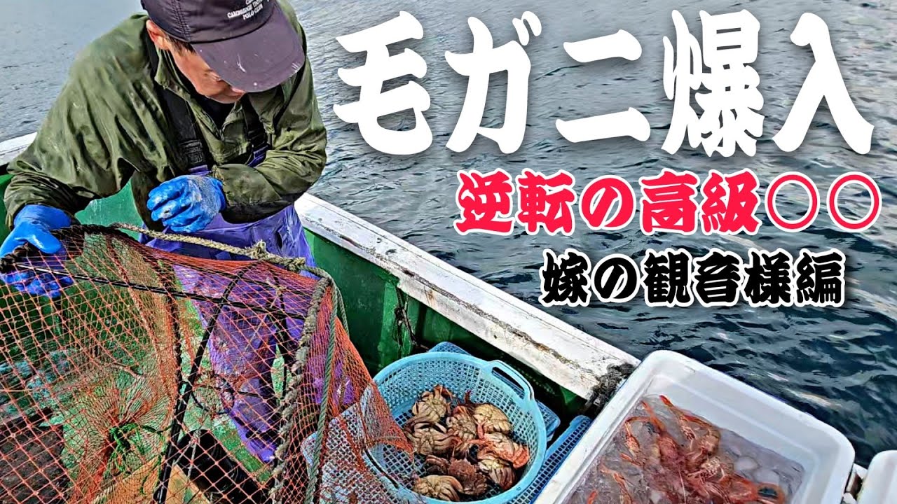 新潟の海/漁師日誌🦀毛ガニ爆入!?高級○○FEVERでテンションぶちあがる