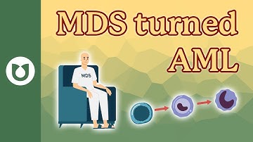 Do people who have their MDS turn into AML all have a certain type of AML? #AML