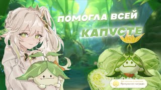 ПОМОГЛА ВСЕЙ КАПУСТЕ! l Genshin Impact