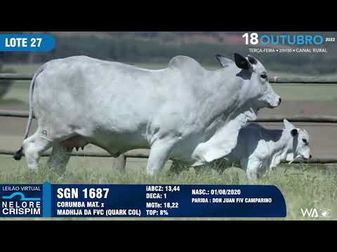 LOTE 27 SGN 1687