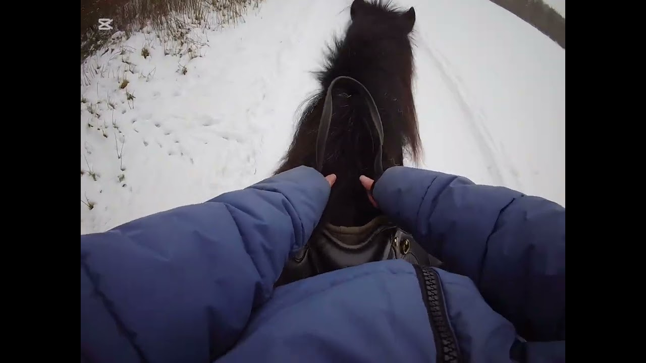 Malou er ude i stalden 